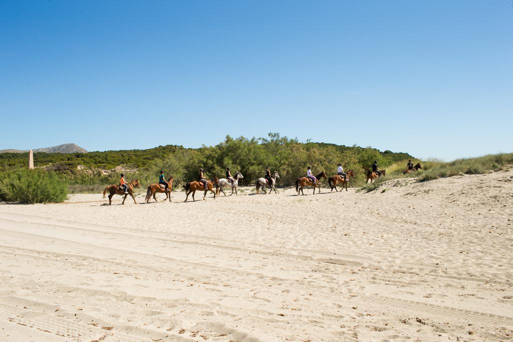 Agroturismo Can Pere Rei Son Serra de Marina Exterior foto